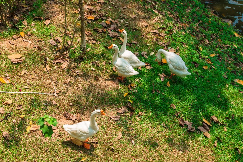 Brookside Valley Resort Rayong Zewnętrze zdjęcie